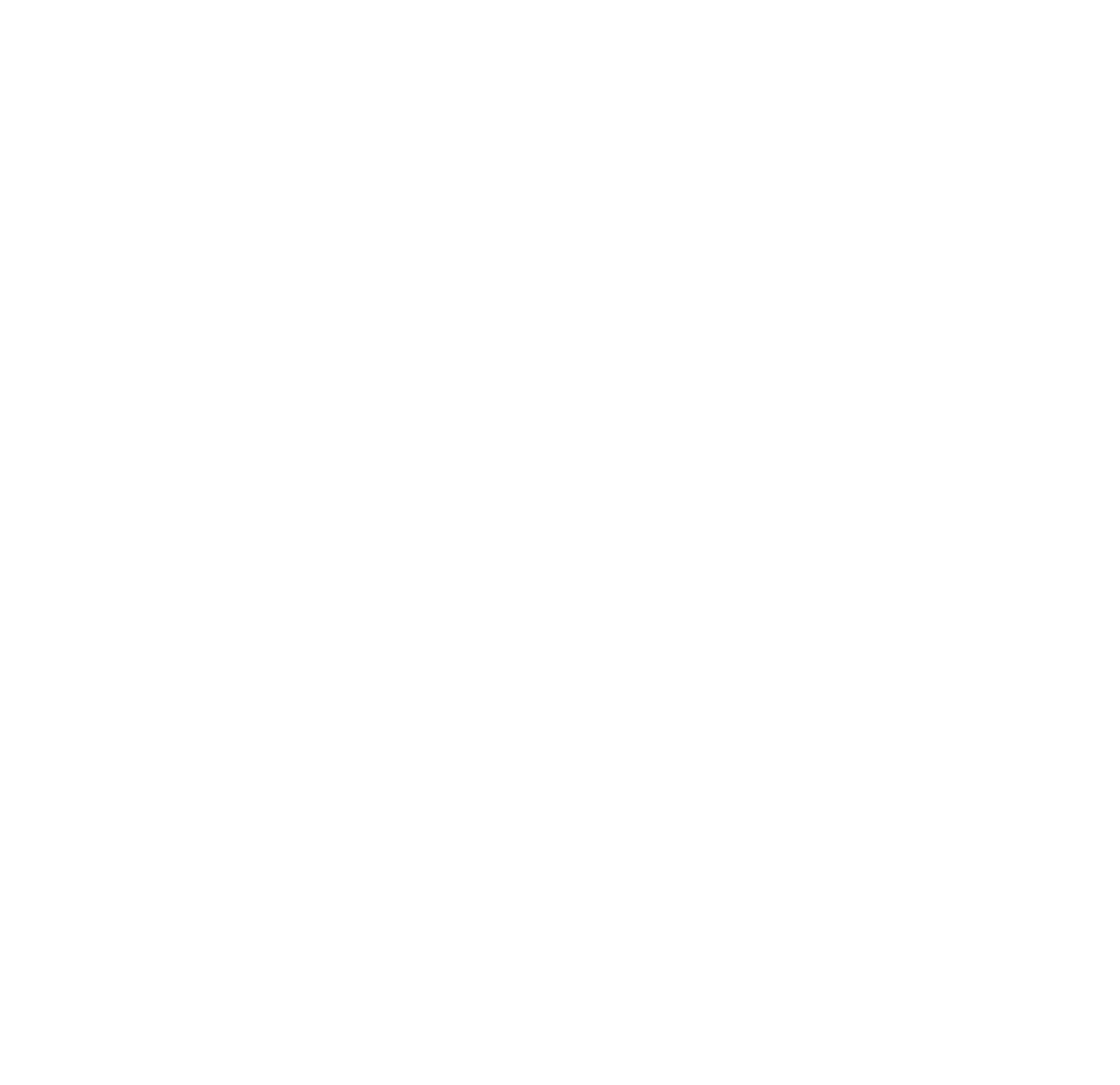 ORTHO Schuh
